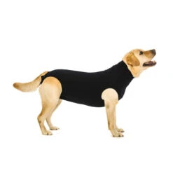Suitical Recovery Suit Hond - Zwart 17 Suitical Recovery Suit Hond - Zwart -Beste Dierenartikelen Winkel 030c0c95b2225b3f51d0531451c332d22240a6793456a94550dc3c51446b2a0a 5