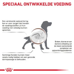 Royal Canin Gastrointestinal High Fibre Hond -Beste Dierenartikelen Winkel 0RfT5GcYlB6CwXEOcIf67bsir9yZhq metaR0FTVFJPSU5URVNUSU5BTC1ISUdILUZJQlJFLTMuanBn