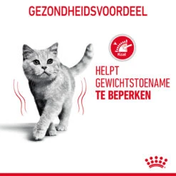 Royal Canin Light Weight Care In Jelly - Kattenvoer -Beste Dierenartikelen Winkel 0YAYSQygF0oam9mGP6vetV2ewLX2wU metaUm95YWwtQ2FuaW4tTGlnaHQtV2VpZ2h0LUNhcmUtaW4tSmVsbHlfMDUuanBn