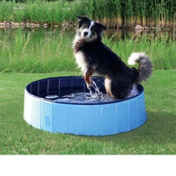 Trixie Dog Pool -Beste Dierenartikelen Winkel 0fd4ce56464af1b7d48a1b50ecd6a6dc2140966c9be9a6012e70984c9ee347c7 2