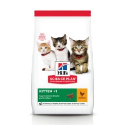Hill's Science Plan - Kitten -Beste Dierenartikelen Winkel 19b1bf5d2d11446d6896dc5521bae217dfe416a751bdb8fb65ba2b1059e7252c 4