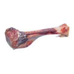 Nobby Parmabeen 15 Nobby Parmabeen -Beste Dierenartikelen Winkel 2a5b414863f660715d6e0d1e1fac2d8614ea5d22f640dd2ddabf68aaeb2d970d 3