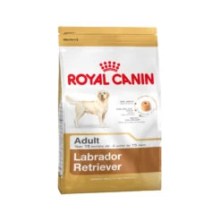 Royal Canin Labrador Retriever Adult - Hondenvoer 21 Royal Canin Labrador Retriever Adult - Hondenvoer -Beste Dierenartikelen Winkel 3da42596fc5f963c49b1dc4e1754d73bd808f78519e1d01deaf431f4a8f121d5 4