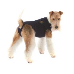 Medical Pet Shirt Hond -Beste Dierenartikelen Winkel 4824e31aaaa9e8ef29ea0a9e3386e7e1c0120620d686ccc21387ee33c2deeecf 3