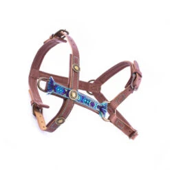 DWAM Hondentuigje Boho Juan -Beste Dierenartikelen Winkel 4a136a178673ebb6998174c8da4d58d21714564dd3a8bc41f3efa5480e657e5d 3