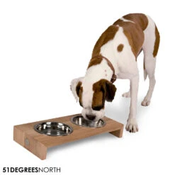 51 Degrees North Double Voerbak Teak 12 51 Degrees North Double Voerbak Teak -Beste Dierenartikelen Winkel 51 degrees north double voerbak teak 210362 1000 none