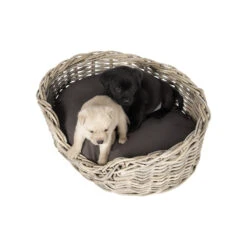 51 Degrees North Rattan Basket 20 51 Degrees North Rattan Basket -Beste Dierenartikelen Winkel 51 degrees north rattan basket 209954 1000 none