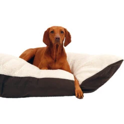 51 Degrees North Sheep Pillow -Beste Dierenartikelen Winkel 51 degrees north sheep pillow 208970 1000 none