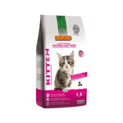 Biofood BF®Petfood Kitten -Beste Dierenartikelen Winkel 596d4420030520f8658f6bbefe80f7504c33efb2866bfb6b591b09eed75040ec 4