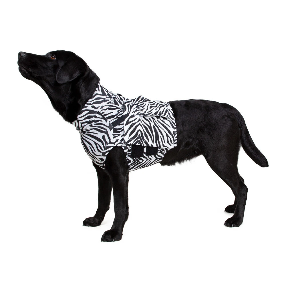 Medical Pet Top Shirt - Zebraprint 3 Medical Pet Top Shirt - Zebraprint - Afbeelding 3