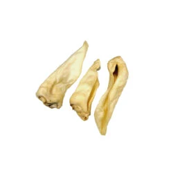 Competition Geitenoren Adult 5 Competition Geitenoren Adult -Beste Dierenartikelen Winkel 739152c17d3f9a966001e738d8accc97158ed8f8e8828c83c2652bad537110c2 3 5