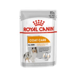Royal Canin Coat Care Wet - Hondenvoer 19 Royal Canin Coat Care Wet - Hondenvoer -Beste Dierenartikelen Winkel 7d42a8b12f05bbbc208e18b50bcfc3fc4bf42864597ed8811116220b879a6522 3 5