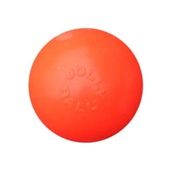 Jolly Bounce-n-Play -Beste Dierenartikelen Winkel 808996a2beb99e6a71c3dfb3f5e26cc7f07d87eee79b4d7953e71120bea95ca3 5