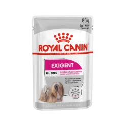 Royal Canin Exigent Wet - Hondenvoer -Beste Dierenartikelen Winkel 94535bda66f101b9c8855ea107fc0d2e4d7c38e37d4d1ca67cabf1965d4896d8 3 5