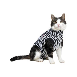 Medical Pet Shirt Kat Zebra 13 Medical Pet Shirt Kat Zebra -Beste Dierenartikelen Winkel 94888d606ca2a555a50033dd4fe80ece5e64b2b3689ba436a5b7ee74a4f74059 4