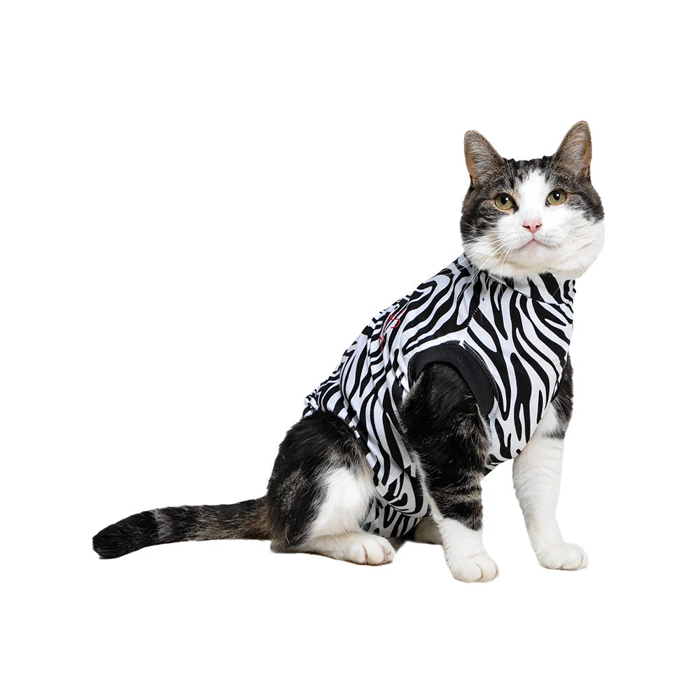 Medical Pet Shirt Kat Zebra 1 Medical Pet Shirt Kat Zebra