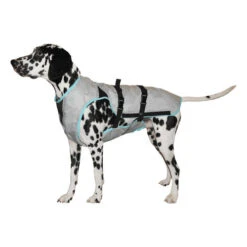Suitical DRY Cooling Vest -Beste Dierenartikelen Winkel 9499fb35b19d84b5aa93a4c86553b2fe8cb04820445bc0caa84179df38543a45 3
