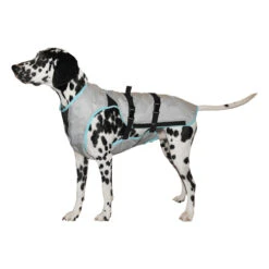 Suitical DRY Cooling Vest -Beste Dierenartikelen Winkel 9fc9d6f550f0a0651c1b11f82b9a9f578f28ee2cf2a5c7894a8c9c45711efdfd 3