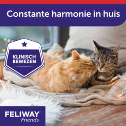 Feliway Friends -Beste Dierenartikelen Winkel KwTPieQoagk07UQzAz1eKNaVthJurB metaRmVsaXdheS1GcmllbmRzLUNhcm91c2VsLTUuanBn