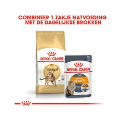 Royal Canin Adult Bengal - Kattenvoer 17 Royal Canin Adult Bengal - Kattenvoer -Beste Dierenartikelen Winkel Oiz9fo8Gi5bXWcBJ87R2OVk8KskfZH metaUm95YWwtQ2FuaW4tQWR1bHQtQmVuZ2FsXzAxLmpwZw