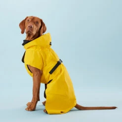 PAIKKA Visibility Raincoat Lite Yellow -Beste Dierenartikelen Winkel PClMHEr7OU9sOGs5uS5yRaglBqAzmp metaUGFpa2thLVZpc2liaWxpdHktUmFpbmNvYXQtTGl0ZS1ZZWxsb3czLmpwZw