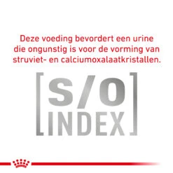Royal Canin Urinary S/O Kat 21 Royal Canin Urinary S/O Kat -Beste Dierenartikelen Winkel VpgXQjpSvGNGPyyzUe0SVeDT9IxIXC metaVVJJTkFSWS1TTy1MT0FGLTguanBn
