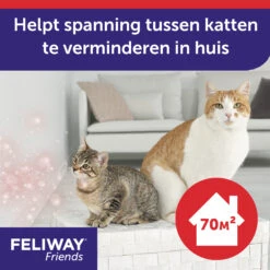 Feliway Friends -Beste Dierenartikelen Winkel Yqs0jjKoF52gInjrukY1x5eGB4ktFD metaRmVsaXdheS1GcmllbmRzLUNhcm91c2VsLS0yLmpwZw