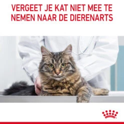 Royal Canin Hair & Skin In Jelly - Kattenvoer 23 Royal Canin Hair & Skin In Jelly - Kattenvoer -Beste Dierenartikelen Winkel Za5qiWwLu5LlMRxA3ZdffyhTyYTngL metaUm95YWwtQ2FuaW4tVXJpbmFyeS1DYXJlLWluLUdyYXZ5XzA2LmpwZw