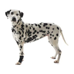 Kruuse Rehab Polsbeschermer -Beste Dierenartikelen Winkel a70d6fc5537adcf7455de711793c6211ab545c35eace37698d37dae6d1878558 3