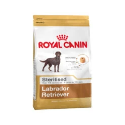 Royal Canin Labrador Retriever Sterilised Adult - Hondenvoer -Beste Dierenartikelen Winkel a88c9d666ec594ce25fa521f33e2232777c0b5b3a94b1a6cadff8a711efde7a6 4