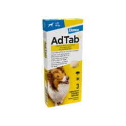 AdTab Kauwtabletten Hond 21 AdTab Kauwtabletten Hond -Beste Dierenartikelen Winkel adtab kauwtabletten hond 224087 1500 none