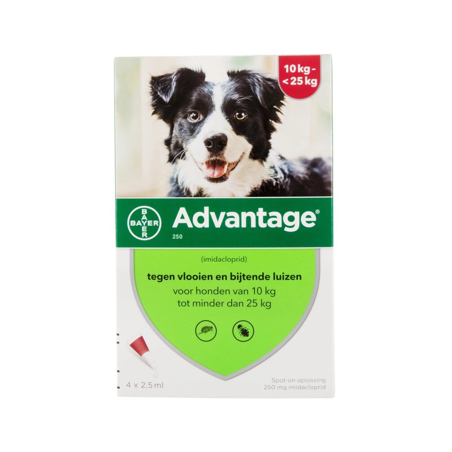 Advantage Hond 2 Advantage Hond - Afbeelding 2