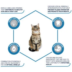 Affinity Advance Adult Kip En Rijst - Kat -Beste Dierenartikelen Winkel affinity advance adult kip en rijst kat 178249 1500 none