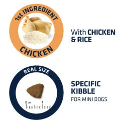 Affinity Advance Adult Mini - Hond -Beste Dierenartikelen Winkel affinity advance adult mini hond 177850 1500 none