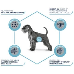 Affinity Advance Veterinary Diets Gastroenteric Hond -Beste Dierenartikelen Winkel affinity advance veterinary diets gastroenteric hond 177655 1500 none