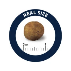 Affinity Advance Veterinary Diets Gastroenteric Hond -Beste Dierenartikelen Winkel affinity advance veterinary diets gastroenteric hond 177679 0500 none