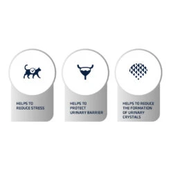 Affinity Advance Veterinary Diets Urinary Stress Kat -Beste Dierenartikelen Winkel affinity advance veterinary diets urinary stress kat 176839 1500 none