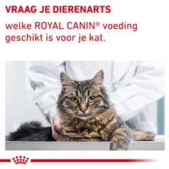 Royal Canin VCN - Mature Consult Balance - Cat - Maaltijdzakje 9 Royal Canin VCN - Mature Consult Balance - Cat - Maaltijdzakje -Beste Dierenartikelen Winkel auqYuMrpG2AEQj9IgtKtDMGtV3YXT4 metaTUFUVVJFLUNPTlNVTFQtQkFMQU5DRS04LmpwZw