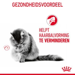 Royal Canin Hairball Care In Gravy - Kattenvoer 20 Royal Canin Hairball Care In Gravy - Kattenvoer -Beste Dierenartikelen Winkel b5BGZndEVRARBU6xTTXdGdZB9ZfBvZ metaUm95YWwtQ2FuaW4tSGFpcmJhbGwtQ2FyZS1pbi1HcmF2eV8wMi5qcGc
