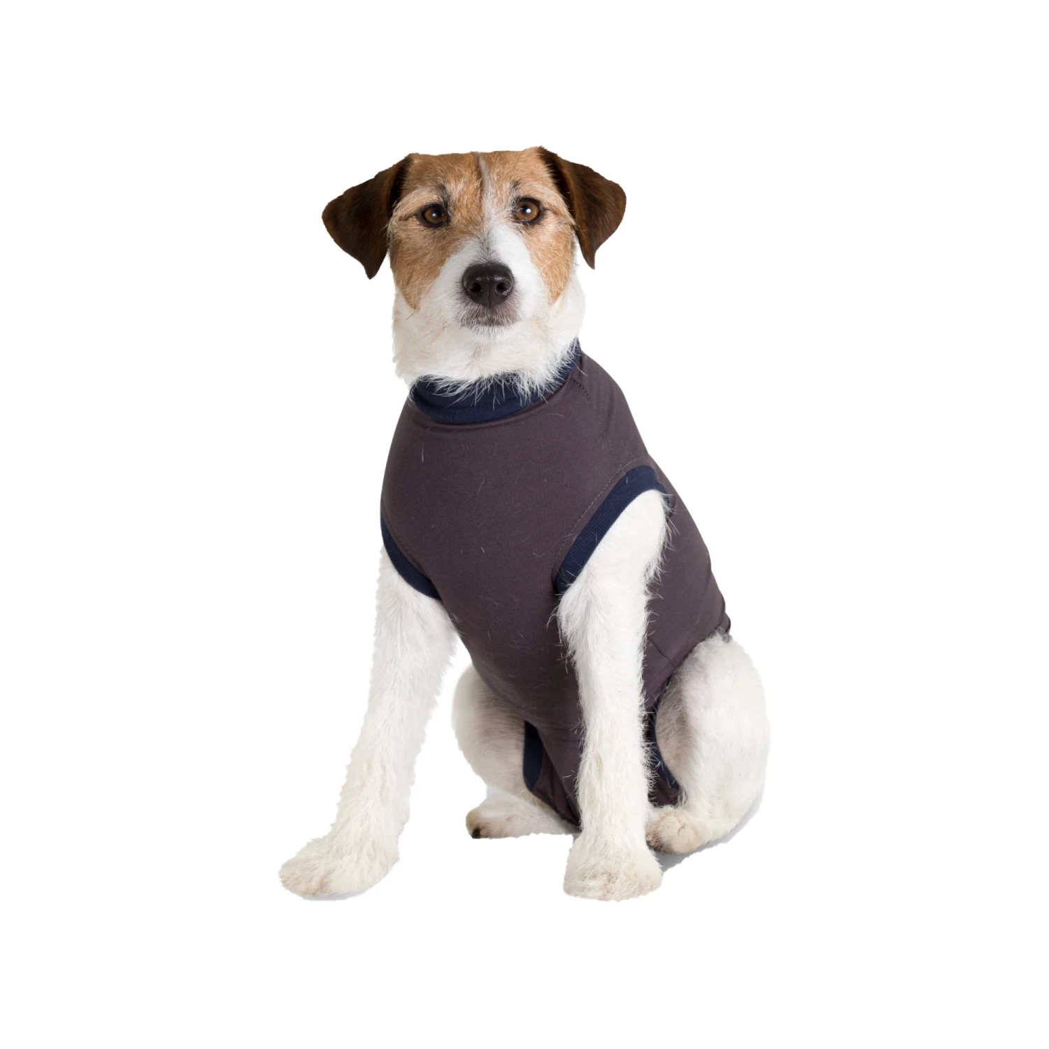 Jacketz Medical Body Suit Hond 14 Jacketz Medical Body Suit Hond - Afbeelding 14