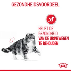 Royal Canin Urinary Care In Gravy - Kattenvoer 21 Royal Canin Urinary Care In Gravy - Kattenvoer -Beste Dierenartikelen Winkel bQ4DfuNB3UTwRZ1lnPBpZrXOtehvVK metaUm95YWwtQ2FuaW4tVXJpbmFyeS1DYXJlLWluLUdyYXZ5XzA0LmpwZw
