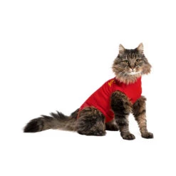 Medical Pet Shirt Kat 17 Medical Pet Shirt Kat -Beste Dierenartikelen Winkel bae7103af930f7accbfa5d3ac607aa83f79f7fed61add31d1cb714d46a1ec74a 4