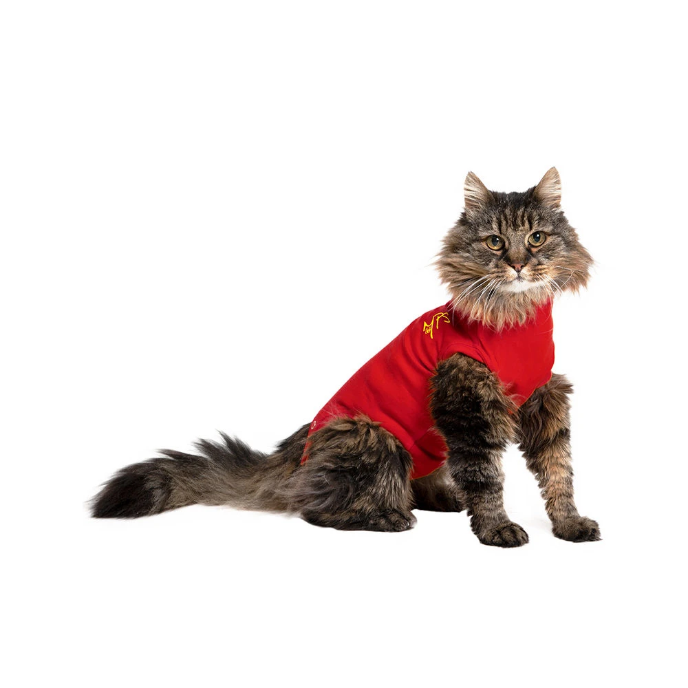 Medical Pet Shirt Kat 1 Medical Pet Shirt Kat