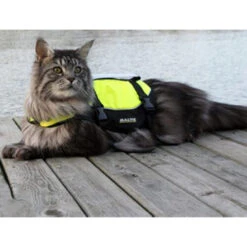 Baltic Kattenzwemvest Maja -Beste Dierenartikelen Winkel baltic kattenzwemvest maja 178984 0500 none