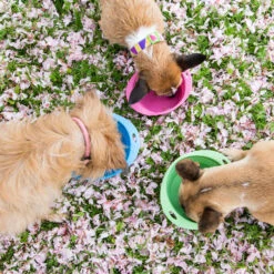 Beco Travel Bowl 21 Beco Travel Bowl -Beste Dierenartikelen Winkel beco travel bowl 136390 2000 none