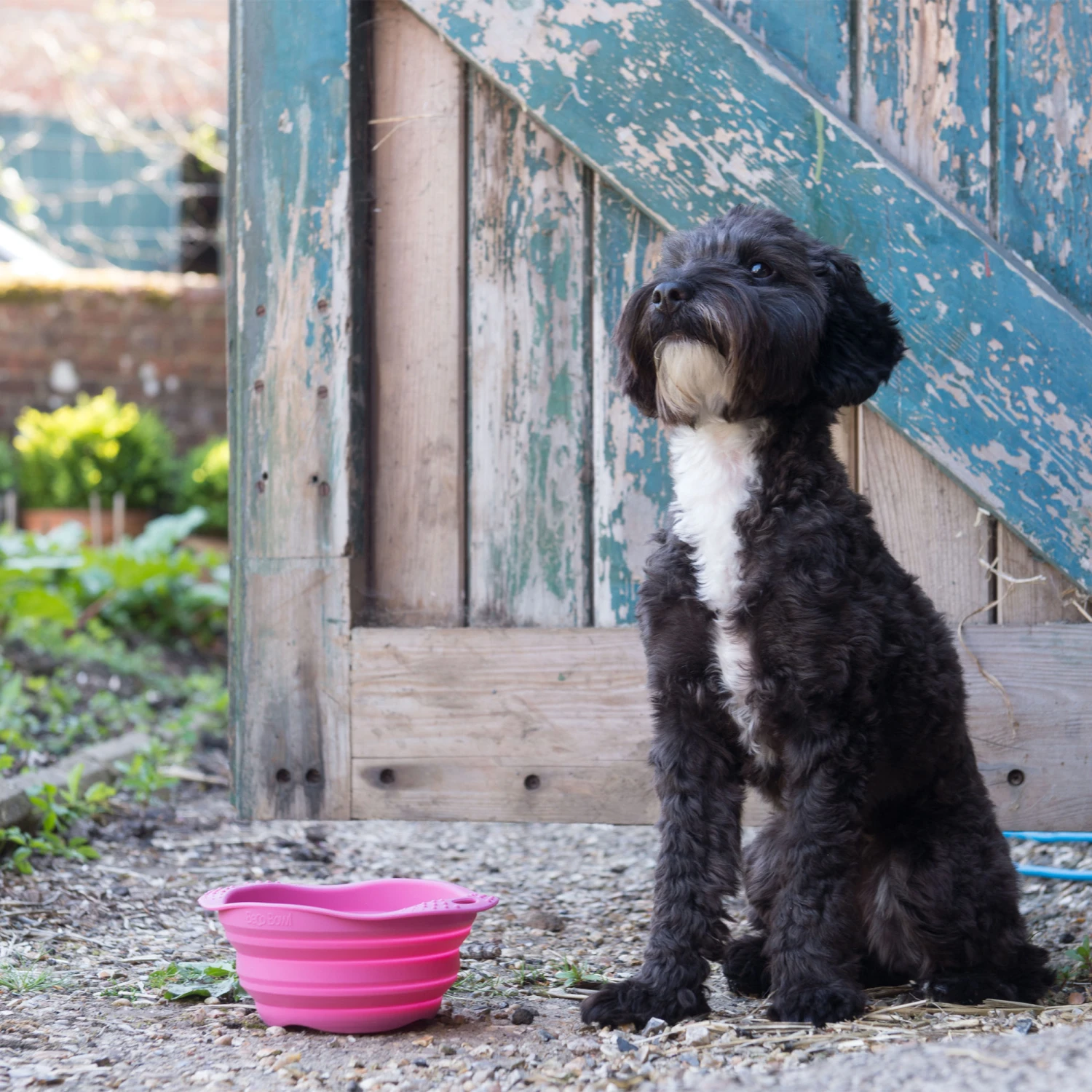 Beco Travel Bowl 11 Beco Travel Bowl - Afbeelding 11