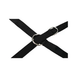 Beeztees Dressuurlijn -Beste Dierenartikelen Winkel beeztees dressuurlijn 199445 2000 none