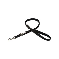 Beeztees Dressuurlijn -Beste Dierenartikelen Winkel beeztees dressuurlijn 199448 2000 none