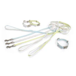 Beeztees Halsband & Lijn -Beste Dierenartikelen Winkel beeztees halsband lijn 110050 0500 none