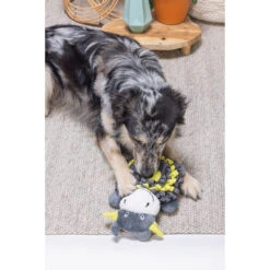 Beeztees Hide And Seek Koe -Beste Dierenartikelen Winkel beeztees hide and seek koe 221777 2000 none